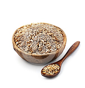 Spelt grains in wooden plate
