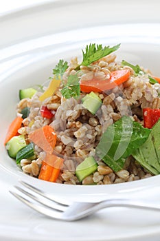 Spelt salad, insalata di farro, italian cuisine