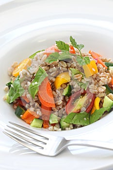 Spelt salad, insalata di farro, italian cuisine