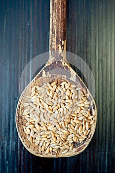 Spelt seeds