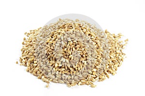 Spelt seeds on white