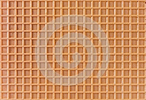 Spelt waffle with a grid pattern