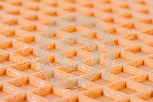 Spelt waffle with a grid pattern, perspective view