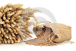 Spelt Wheat img