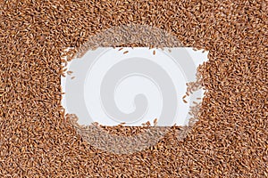 Spelt. Wheat grain background with white border for text