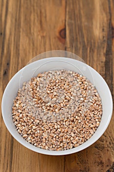 Spelt in white bowl on brown background