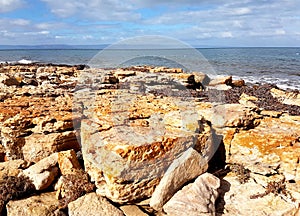 Spencer Gulf view at Point Lowly