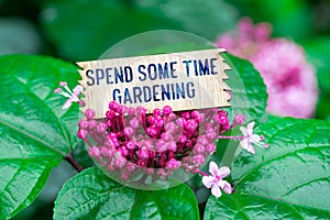 Spend some time gardening in wooden card photo