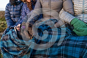 Spending best years with friends. Cropped image of a group of senior female friends with a dog sharing blunket and anjoing