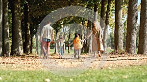 Spending time in nature with kids. Back view of a family holding hands and walking together in the park
