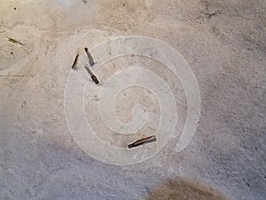 Spent bullets on the ground