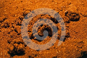 Spent red pepper with bugs