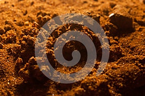 Spent red pepper with bugs