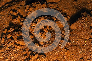 Spent red pepper with bugs