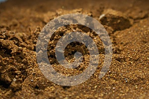 Spent red pepper with bugs