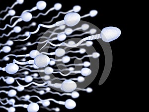 Sperm