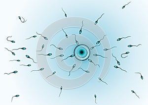 Sperm approaching egg