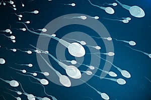 Sperm approaching egg cell, ovum. natural fertilization - close-up view. Conception, the beginning of a new life. 3D