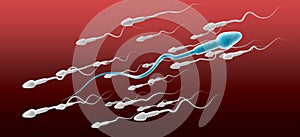 Sperm Cell Male Against The Flow