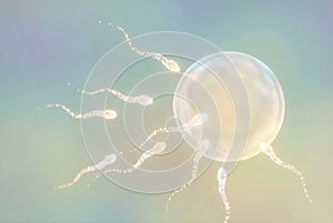 Sperm cells fertilizing human egg during conception process