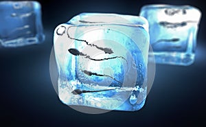 Sperm cells frozen into ice cube