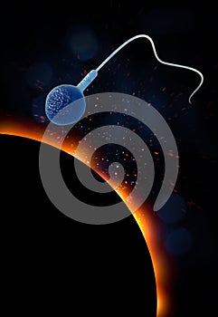 Sperm and Egg 3D Illustration