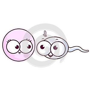 Sperm and egg cell cartoon. Vector illustration