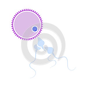 Sperm And Egg Cell Icon