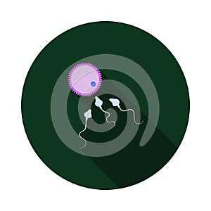 Sperm And Egg Cell Icon