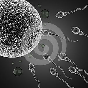 Sperm and egg cell. microscopic