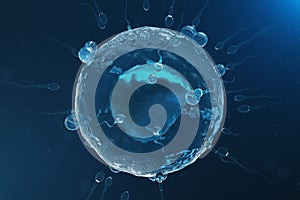 Sperm and egg cell, ovum. Native and natural fertilization - close-up view. Conception, the beginning of a new life. 3D