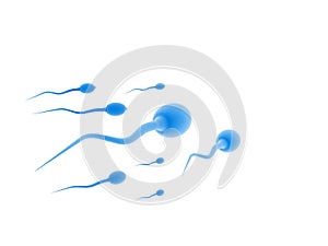 Sperm and egg cell on white background. 3d illustration