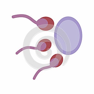 Sperm Icon vector image.