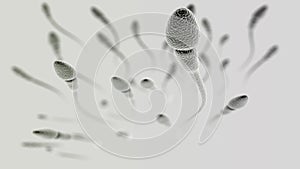 Sperm macro on light background
