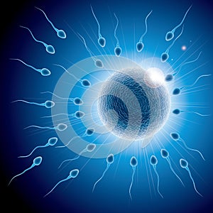 Sperm and ovum combination, many sperm scramble ovum.