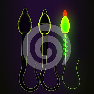 male human sperm anatomy .3d illustration photo