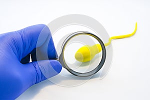 Sperm or semen test or analysis concept photo. Doctor, technician or scientist looks at model sperm cell through magnifying glass photo