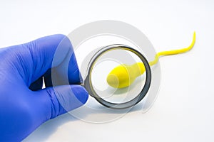 Sperm or semen test or analysis concept photo. Doctor, technician or scientist looks at model sperm cell through magnifying glass