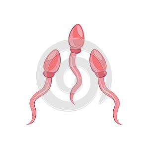 Sperm, Spermatozoa illustration. Sperm flat icon on white background. Sperm clipart
