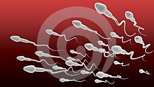 Sperm Swimming Perspective