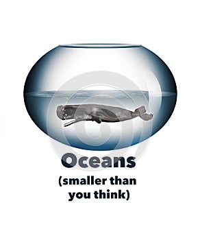A sperm whale is seen in a fish bowl in this 3-D illustration about isolating and controlling big problems