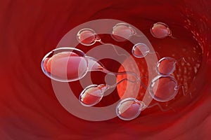 Spermatozoa rush to victory. Movement through the fallopian tubes photo