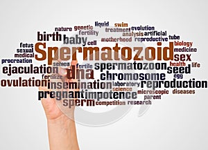 Spermatozoid word cloud and hand with marker concept