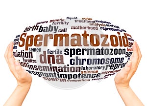 Spermatozoid word cloud hand sphere concept