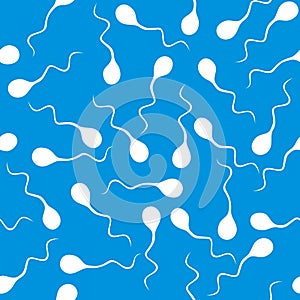 Spermatozoon photo