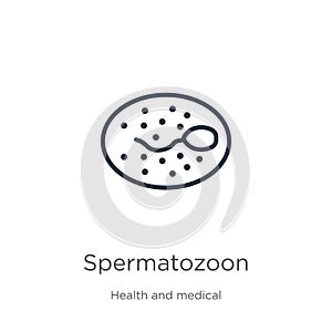 Spermatozoon icon. Thin linear spermatozoon outline icon isolated on white background from health and medical collection. Line