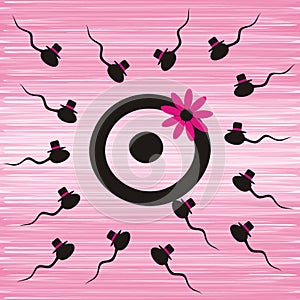 Sperms and egg