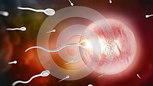 Sperms and ovule. Fertilization - new beginnings concept. 3D illustration