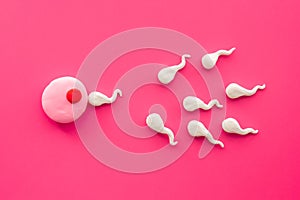 Sperms and woman ovum zygote. Conceiving a child concept