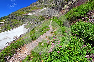 Sperry Glacier Trail Montana